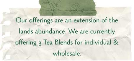 Our offerings are an extension of the land's abundance. We currently offer three tea blends for individuals and wholesale.